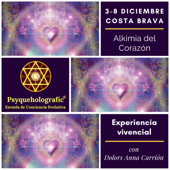 Nuevo curso alkimia Nuevo curso alkimia